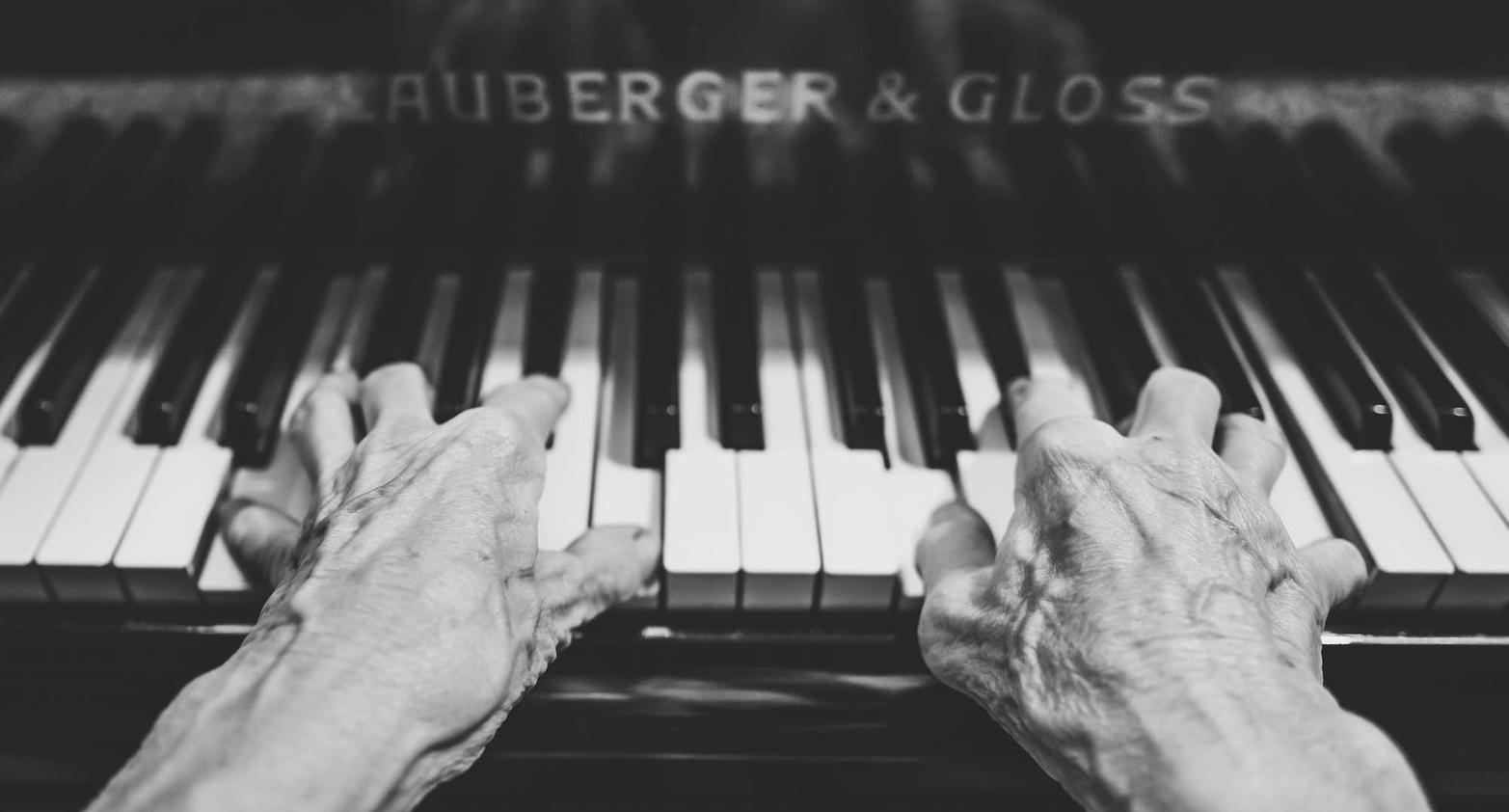 DDOS网页端|切花网上购买平台